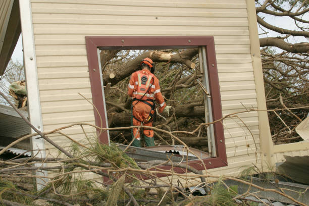 How Our Tree Care Process Works  in  Crest, CA